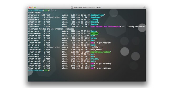 Terminal Terminal