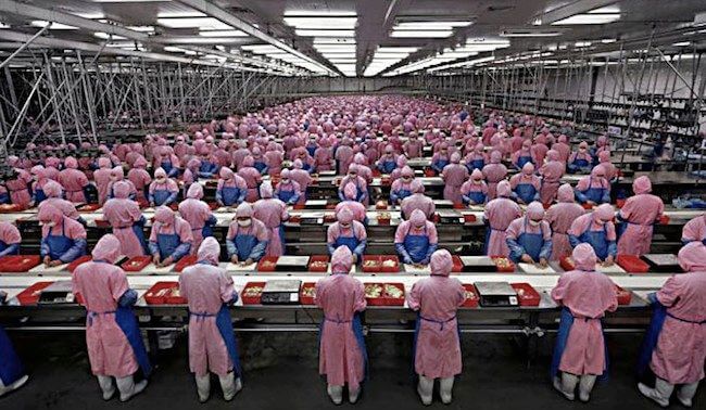 Рабочие завода Foxconn Рабочие завода Foxconn