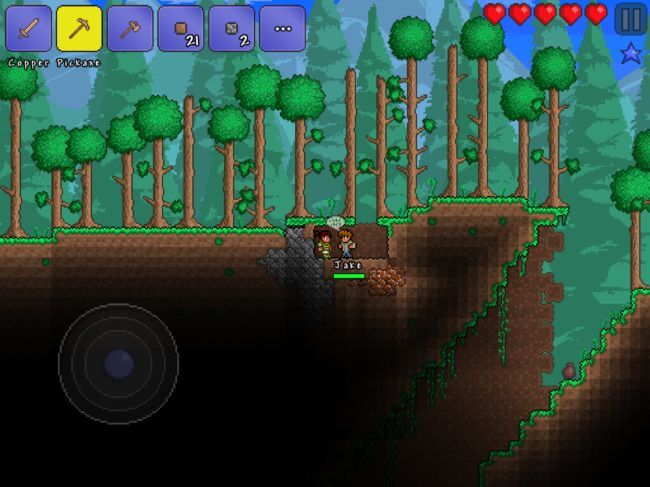 Terraria Terraria