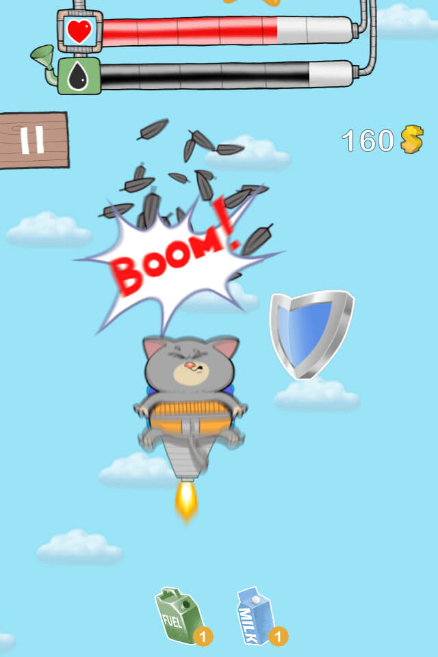 SkyCat SkyCat