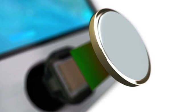 Новое фото iPad mini 2 со сканером Touch ID Новое фото iPad mini 2 со сканером Touch ID