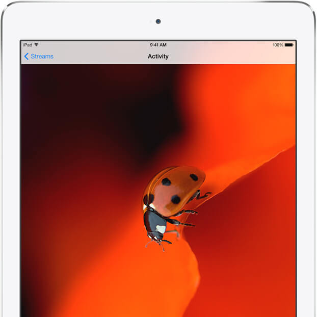 Видеообзор iPad Air. Фото.