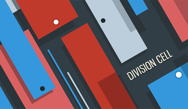 Division Cell Division Cell