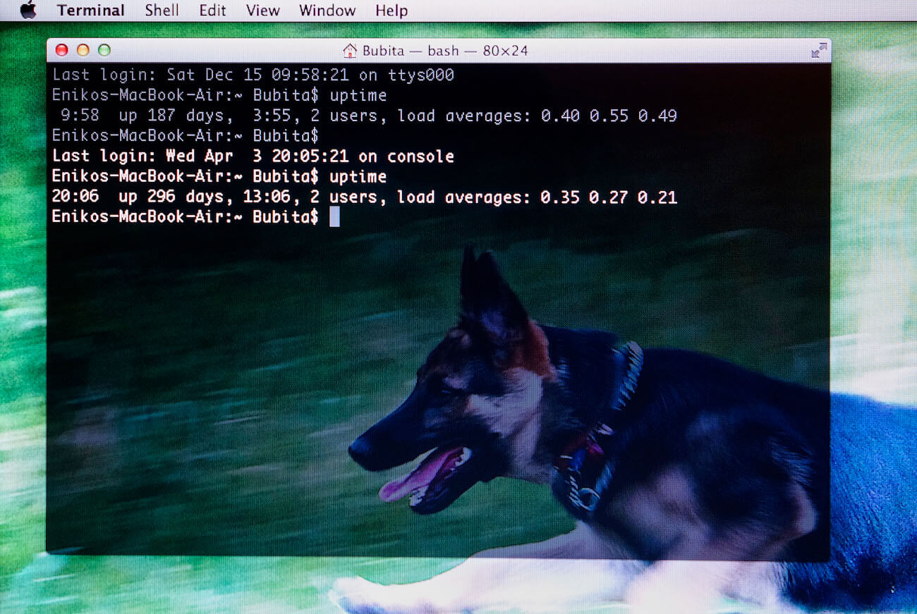 More days uptime More days uptime