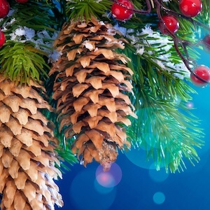 И снова с Новым годом! Фото.