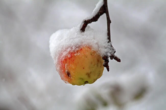 Техника Apple замерзает в России. Фото.
