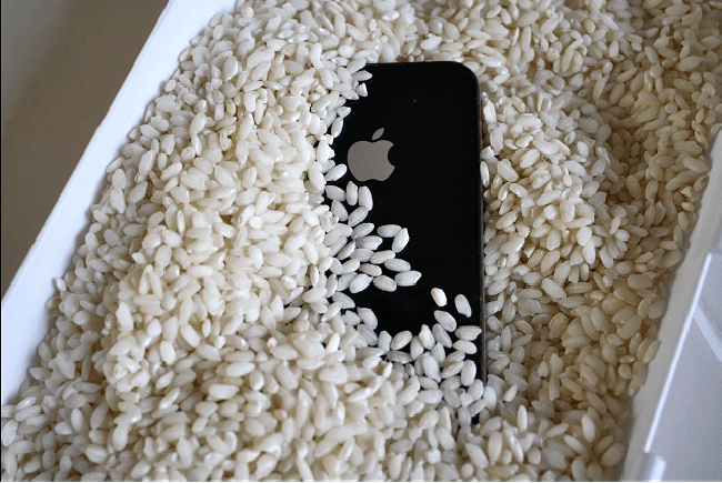 iPhone в рисе iPhone в рисе