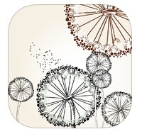 «Якорное поле» — захватывающая сказка для детей и их родителей. Фото.