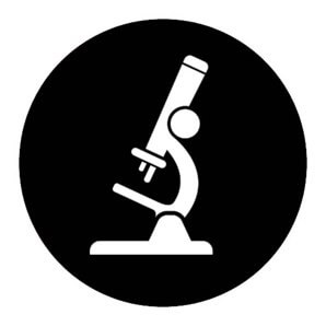 Патология Патология
