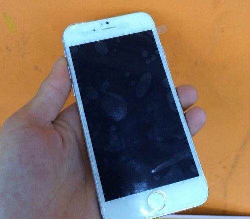 iPhone 6 iPhone 6