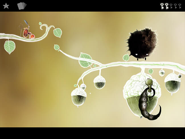 Botanicula Botanicula
