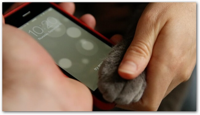 Touch ID Touch ID