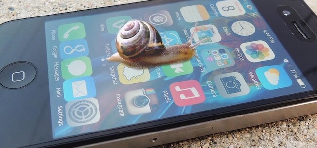 iPhone и улитка iPhone и улитка