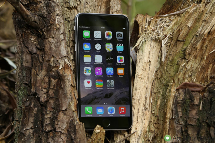 iPhone 6 Plus оказался популярнее, чем iPhone 6. iPhone 6 Plus оказался популярнее, чем iPhone 6. Фото.