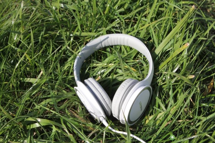 Обзор наушников Cresyn C750H: стильный дизайн, отличное звучание. Фото.