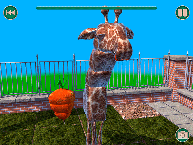 Zoo Turn Zoo Turn