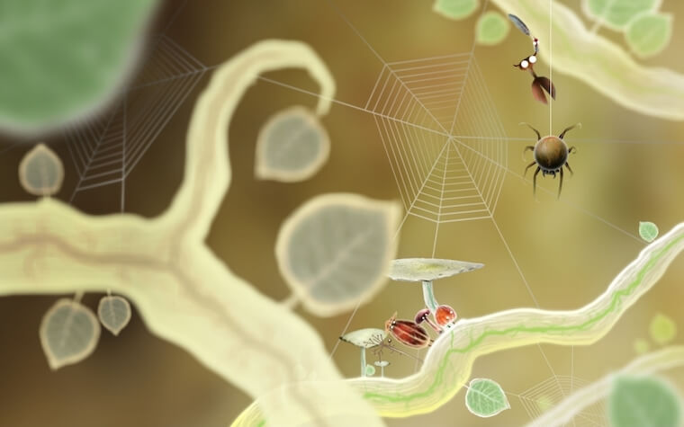 botanicula botanicula