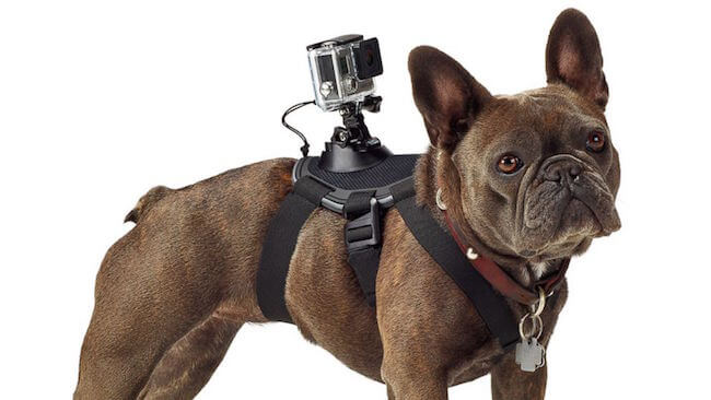 GoPro GoPro