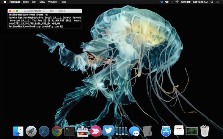 apple-watch-jellyfish-wallpaper-on-mac apple-watch-jellyfish-wallpaper-on-mac