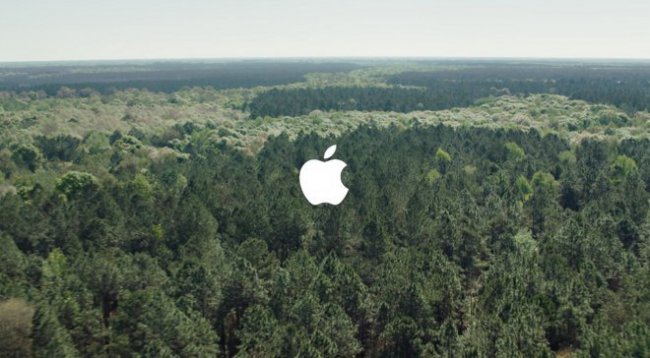 Apple любит лес Apple любит лес