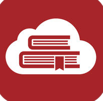 i2Reader Cloud — ридер, читающий всё. Фото.