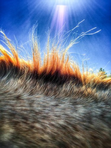 Фотограф Джон Хьюэт Фотограф Джон Хьюэт