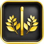 Золотые Спички — спички детям не игрушка, а тренажер для ума. Фото.