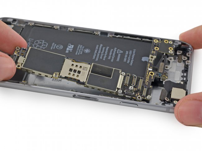 iPhone 6 в разборе iPhone 6 в разборе