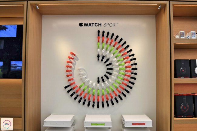 brussels-store-shelves-watch brussels-store-shelves-watch