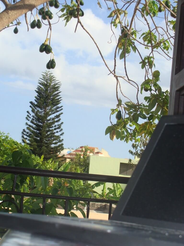 image_5 image_5