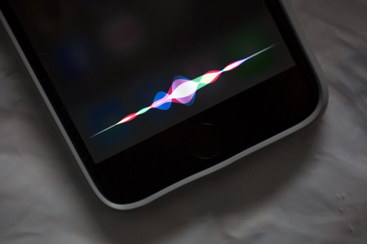 Siri не будет говорить с вами о музыке, если вы не подписались на Apple Music. Фото.