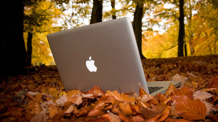 Разработчикам стала доступна бета-версия OS X 10.11.2. Разработчикам стала доступна бета-версия OS X 10.11.2. Фото.