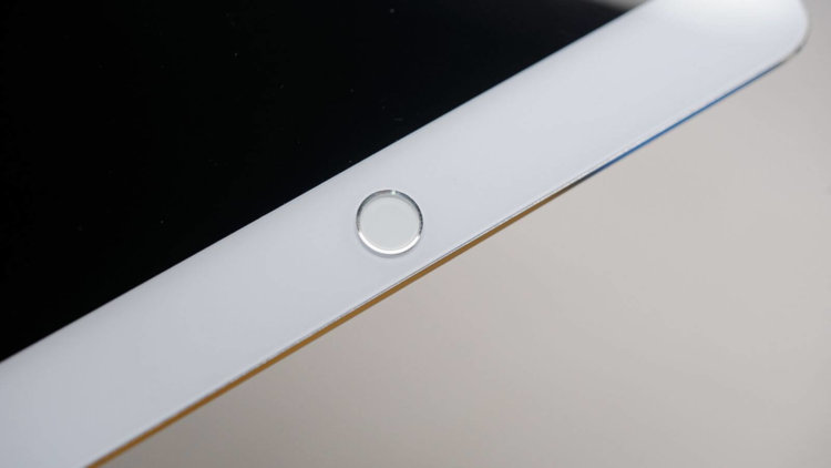 iPad iPad