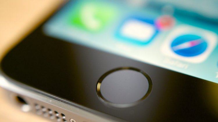 Кто сотрет iPhone 6 и 6 Plus с лица земли? Кто сотрет iPhone 6 и 6 Plus с лица земли? Фото.