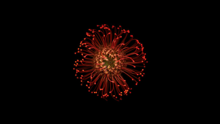 pic1_ios10