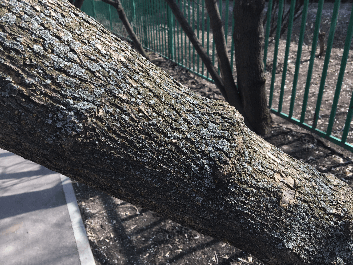 [ВИДЕО] Apple iPad Pro 9,7″ 2016: полный обзор. Фото.