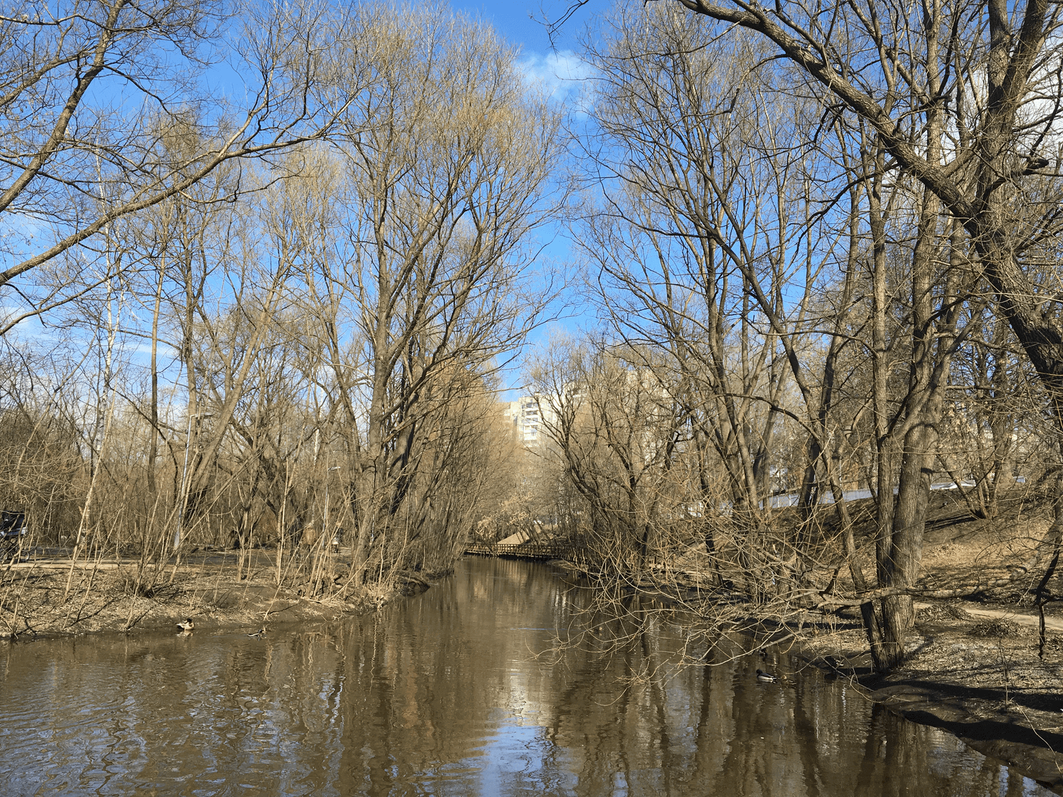 [ВИДЕО] Apple iPad Pro 9,7″ 2016: полный обзор. Фото.