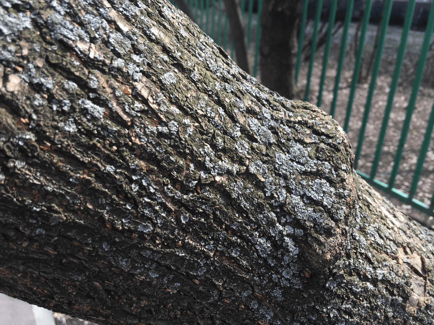 [ВИДЕО] Apple iPad Pro 9,7″ 2016: полный обзор. Фото.