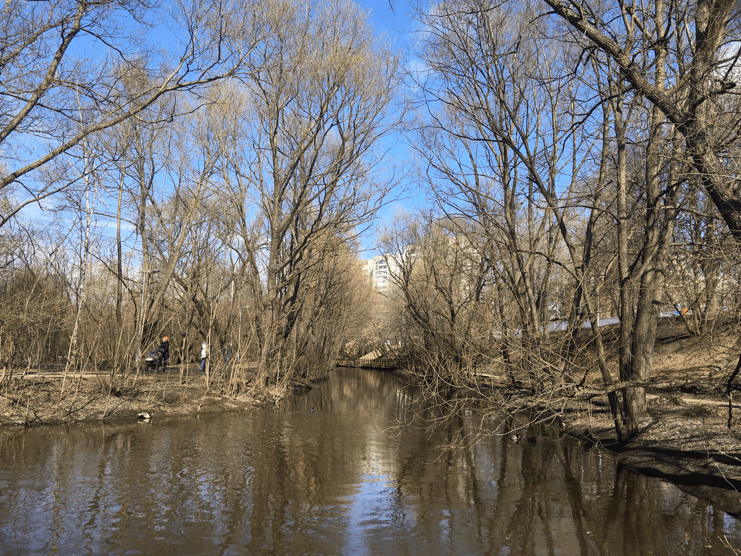 [ВИДЕО] Apple iPad Pro 9,7″ 2016: полный обзор. Фото.