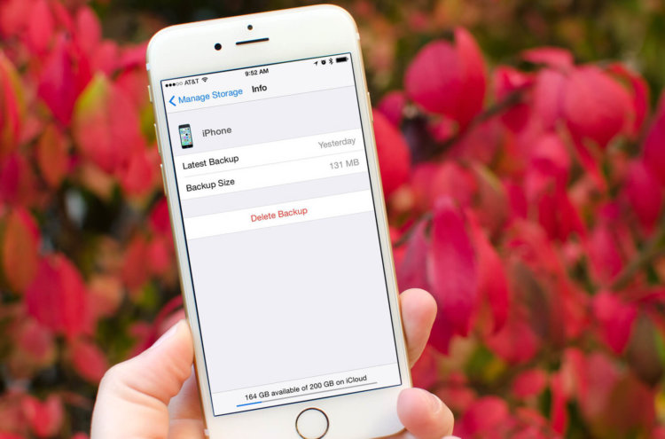 «Взлома iCloud не было»: как хакерам удалось украсть фото знаменитостей. Фото.