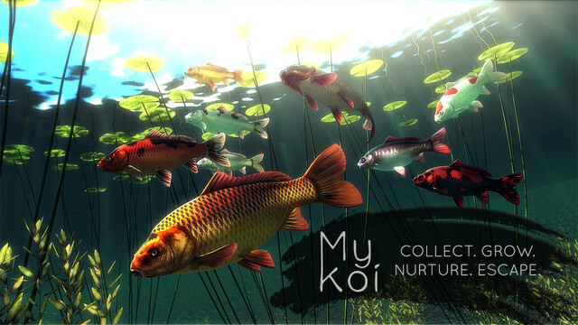 #скидочки | 5 мая. My Koi. #скидочки | 5 мая. My Koi. Фото.
