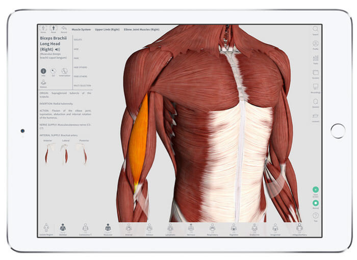 Отдохните от iOS 10: лучшие красивые приложения по версии Apple. iOS и watchOS. Отдохните от iOS 10: лучшие красивые приложения по версии Apple. iOS и watchOS. Фото.