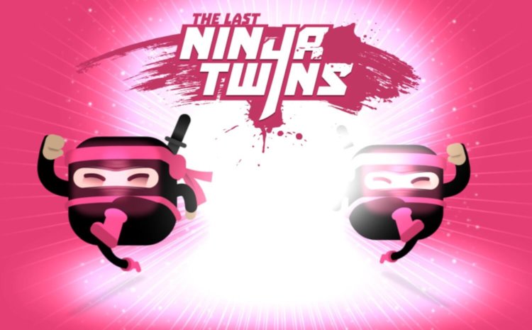 The_Last_Ninja_Twins_1