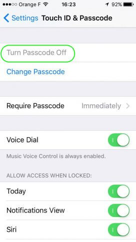 alyona-yurchenko-passcode-ios-question