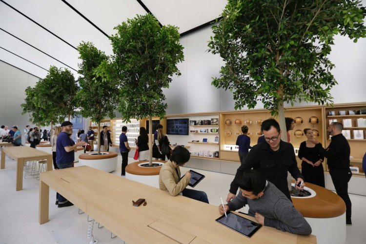 Apple запатентовала деревья