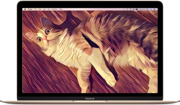 Как пользоваться фильтрами Prisma на Mac или Windows. Фото.
