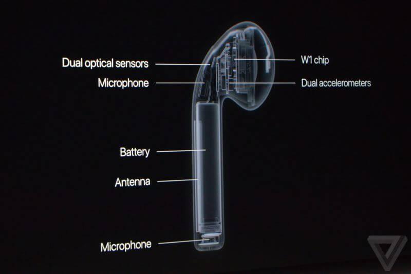 Apple ведёт нас в беспроводное будущее: AirPods. Apple ведёт нас в беспроводное будущее: AirPods. Фото.
