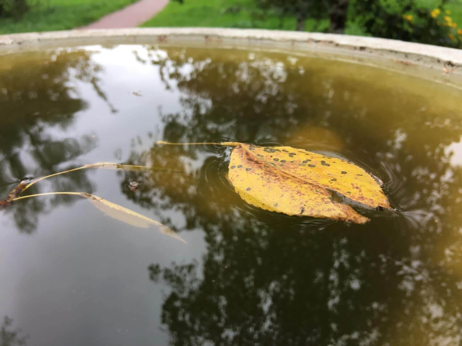 #Видео: Сравниваем камеры iPhone 7 Plus, 6 Plus и 6s Plus. #Видео: Сравниваем камеры iPhone 7 Plus, 6 Plus и 6s Plus. Фото.