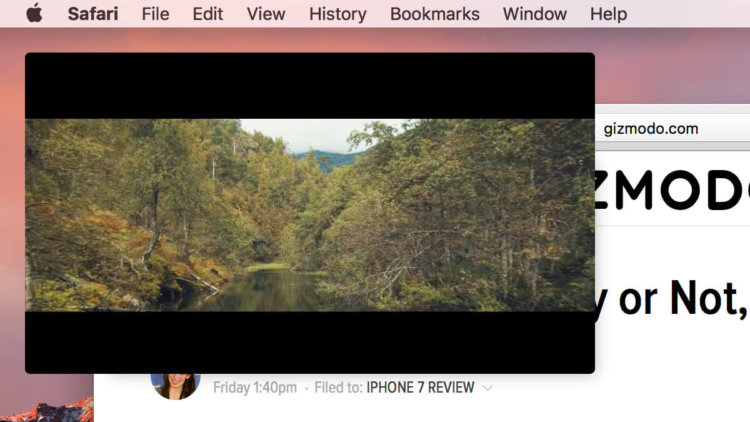 safari