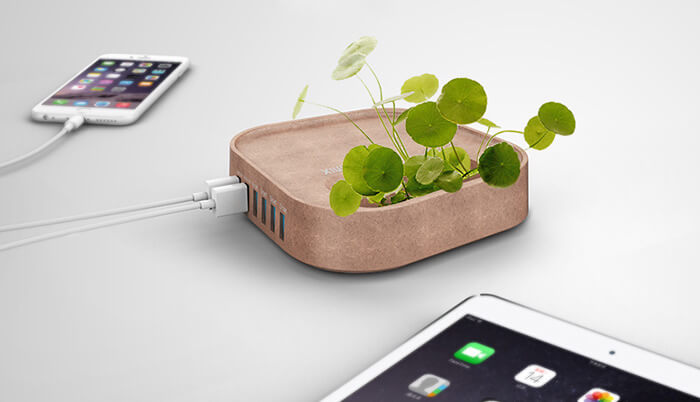 Из Китая с любовью: кролик-зарядка, кулер для MacBook и док-горшок. Из Китая с любовью: кролик-зарядка, кулер для MacBook и док-горшок. Фото.